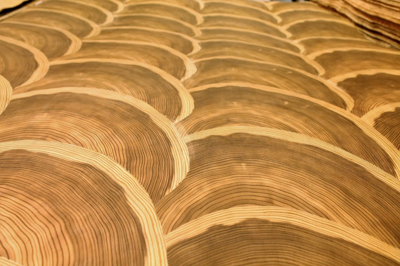 шпон из натуральной древесины